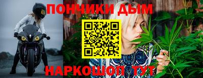 мдпв Кингисепп