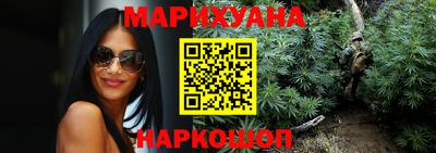 мдпв Кингисепп