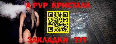 мдпв Кингисепп