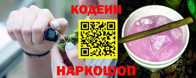 мдпв Кингисепп