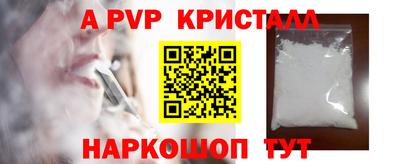 мдпв Кингисепп
