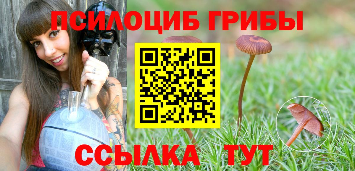 Псилоцибиновые грибы GOLDEN TEACHER Костомукша
