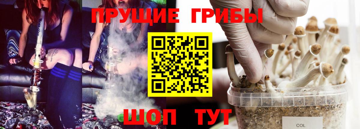 Галлюциногенные грибы GOLDEN TEACHER  Вход с VPN  купить   Костомукша 